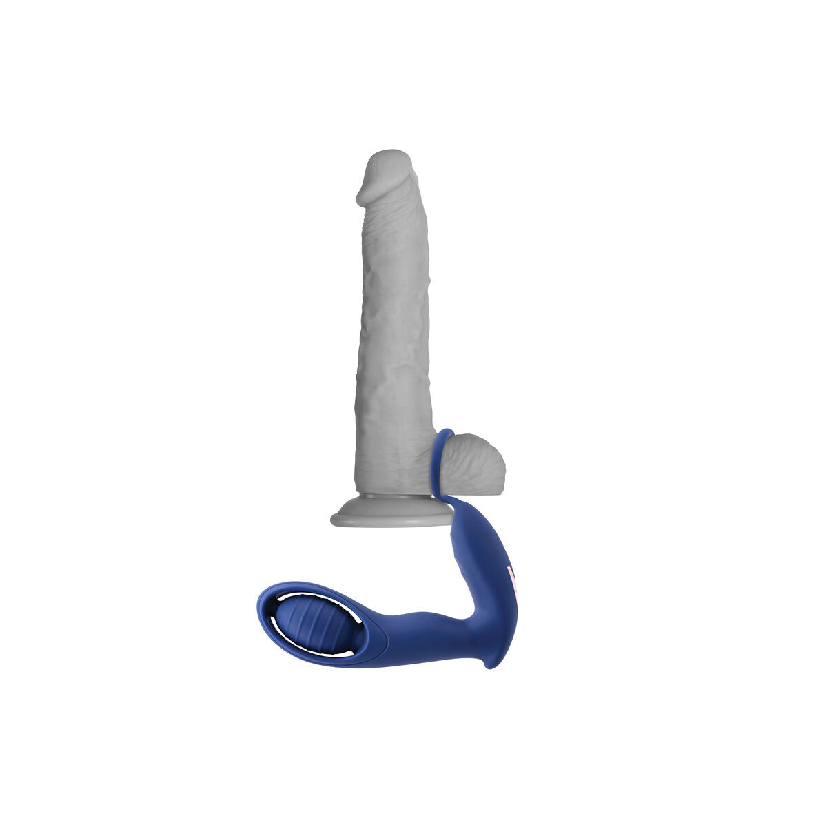 Plug Anal Zero Tolerance Bleu - SecretMinuit