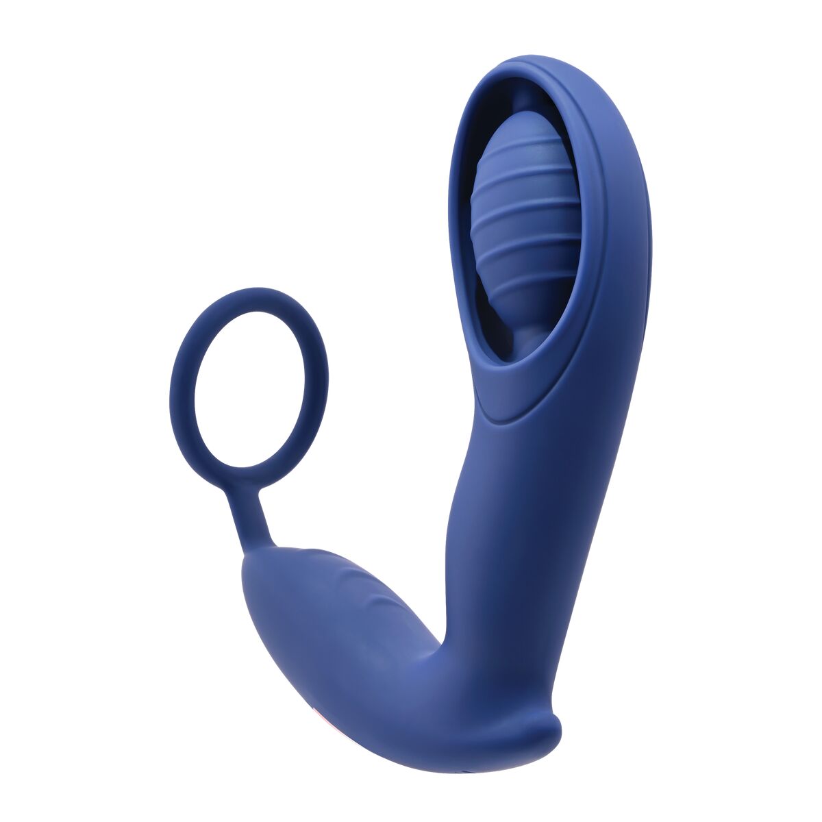 Plug Anal Zero Tolerance Bleu - SecretMinuit