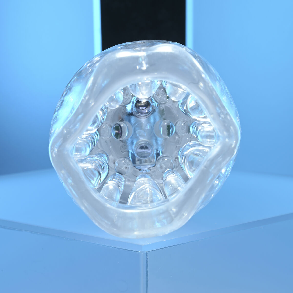 Vortex Dame Rose Zero Tolerance - SecretMinuit