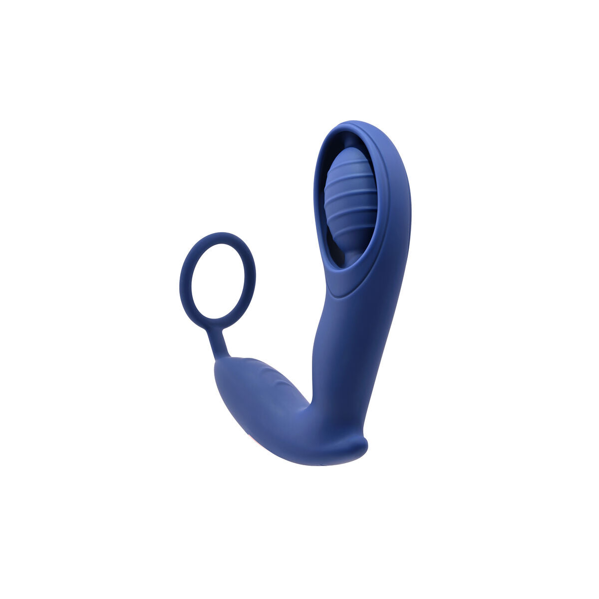 Plug Anal Zero Tolerance Bleu - SecretMinuit