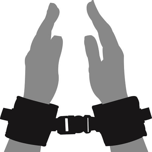 Loving Joy Beginners Wrist Restraints - SecretMinuit